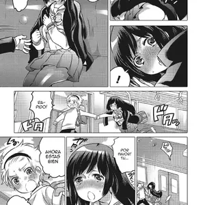 Chikan Densha No Hime Molester Train Princess Vol.28 (Inochi Wazuka) - Página 5