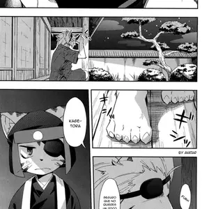 Kagetora Ijiri (Harusuke) - Página 3