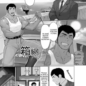 Box Net (Dainyu)